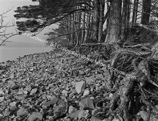 ON ROSS ISLAND WATERSIDE STUDIES THE SUNKEN WATERS AFTER DROUGHT